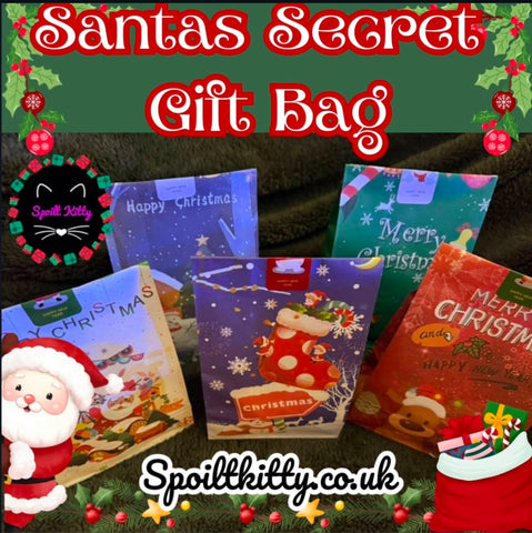 Santa’s Secret Gift Bag